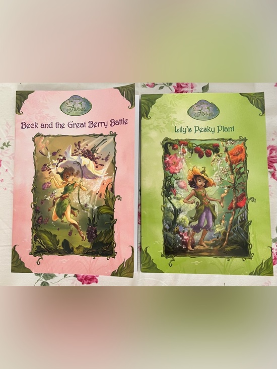 Disney Other - Disney Fairies 2 Books Beck & Lily 2006